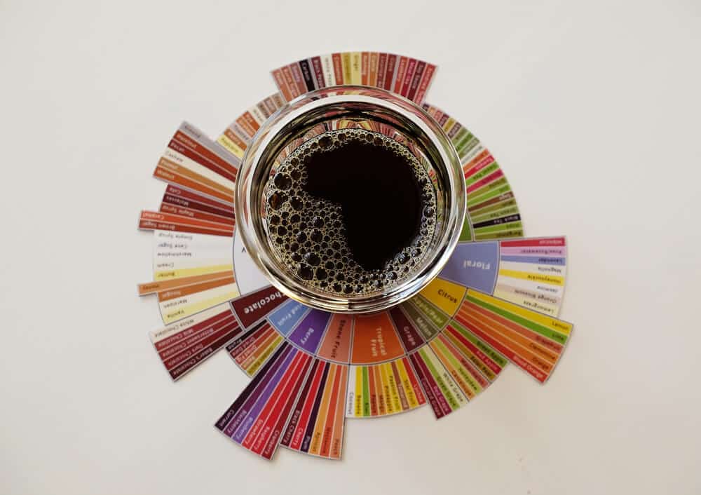 גלגל הטעמים SCA