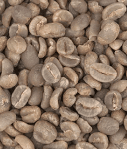 1 ק״ג קפה ירוק ברזיל Fazenda Sertão חד זני – Specialty Coffee Fazenda Sertão